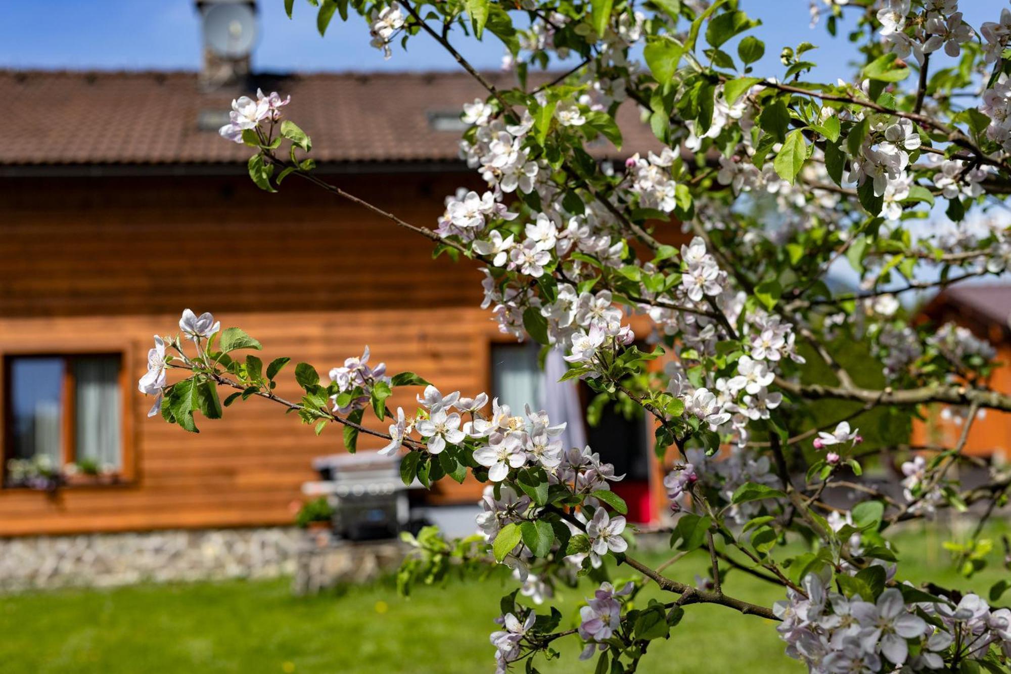 Apartmany Anicka Ubytovanie Region Liptovsky Mikulas Liptovske Matiasovce Exterior foto